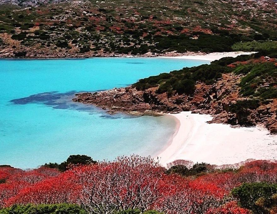 Asinara